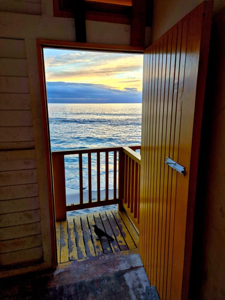 Kalk Bay: the coolest neighbourhood in the world 3384c1a0 bb3e 43f4 80f1 8a7a88ede3e2 3
